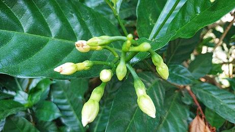 《王者荣耀》吕布FMVP皮肤 王者归来的海之战神